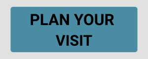 PLAN YOUR VISIT